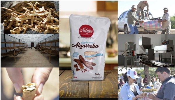Nutrifor recibe los primeros cargamentos de harina de algarroba producida en El Potrillo