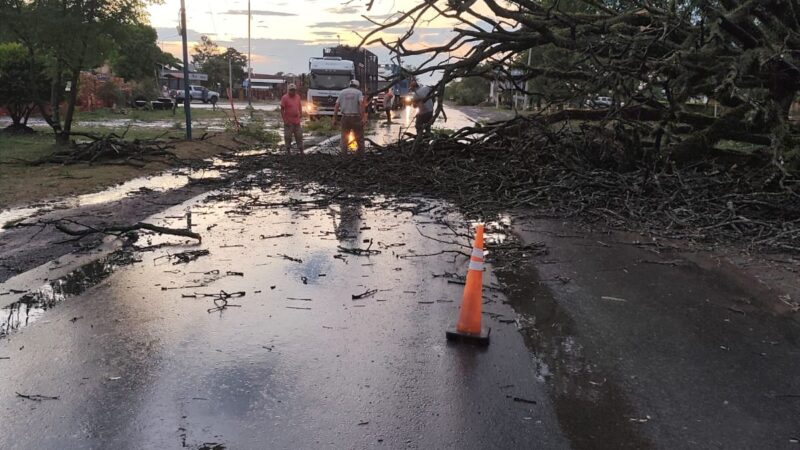 Rápida intervención del Gobierno de Formosa por un fuerte temporal