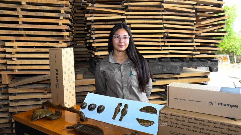 Desde el Gobierno provincial destacan el aporte del CFI y los avances del proyecto del Centro Tecnológico FABLAB