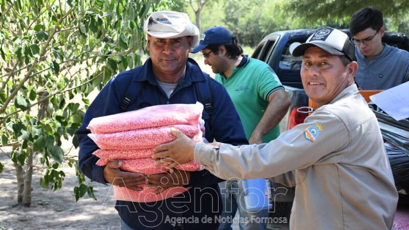 A diferencia de Nación, Formosa implementa políticas que apuntan a fortalecer al pequeño productor paippero