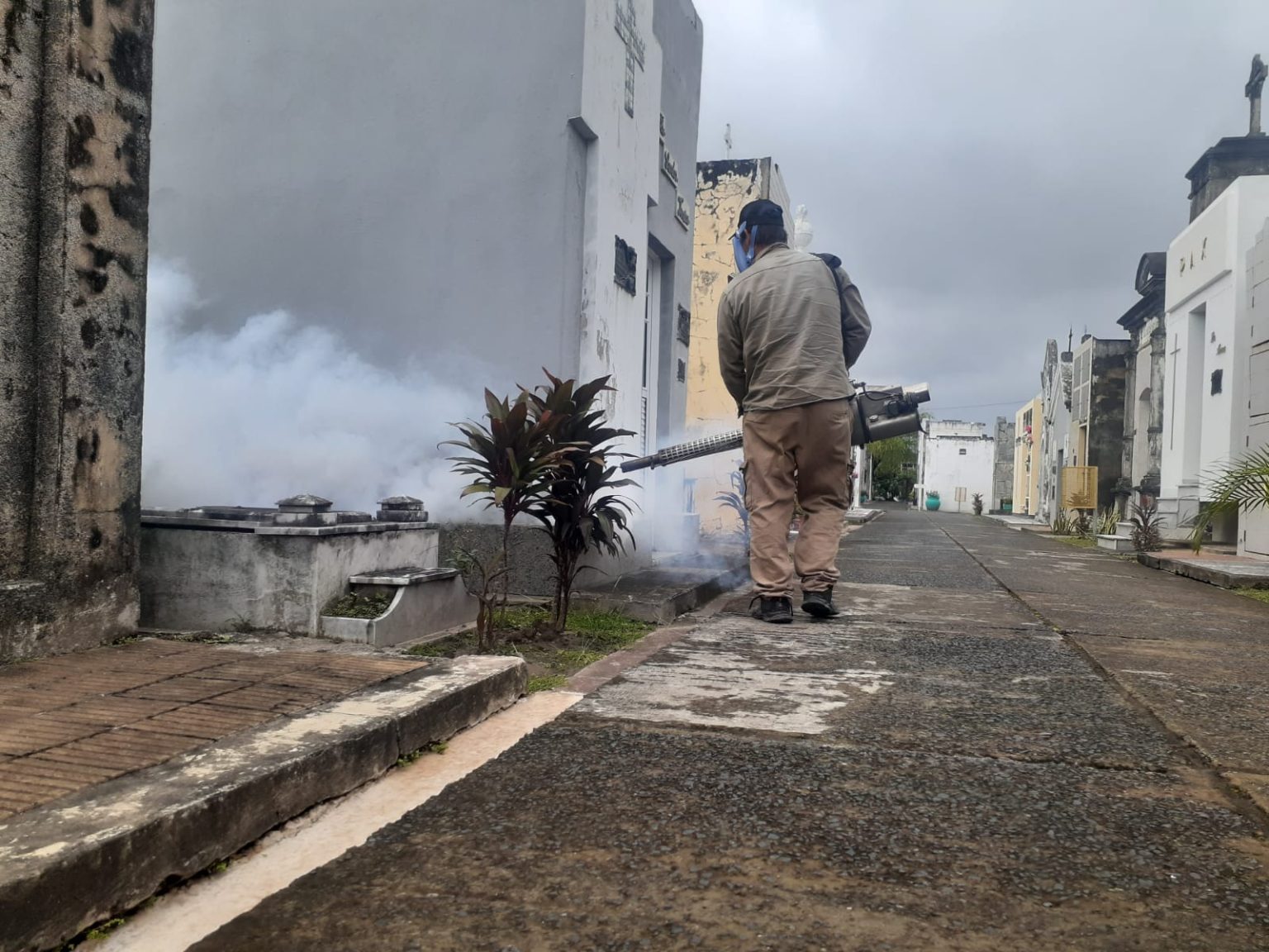 El Gobierno provincial refuerza las acciones contra el dengue en cementerios de la Capital