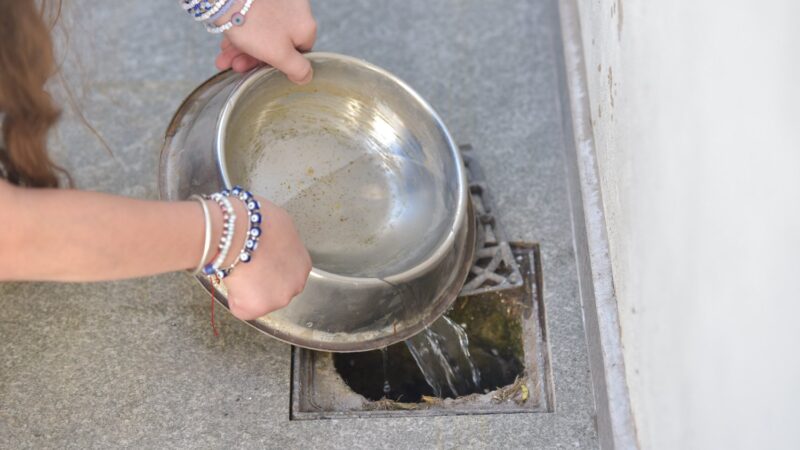 Dengue: Reiteraron recomendaciones ante el aumento de mosquitos tras las lluvias