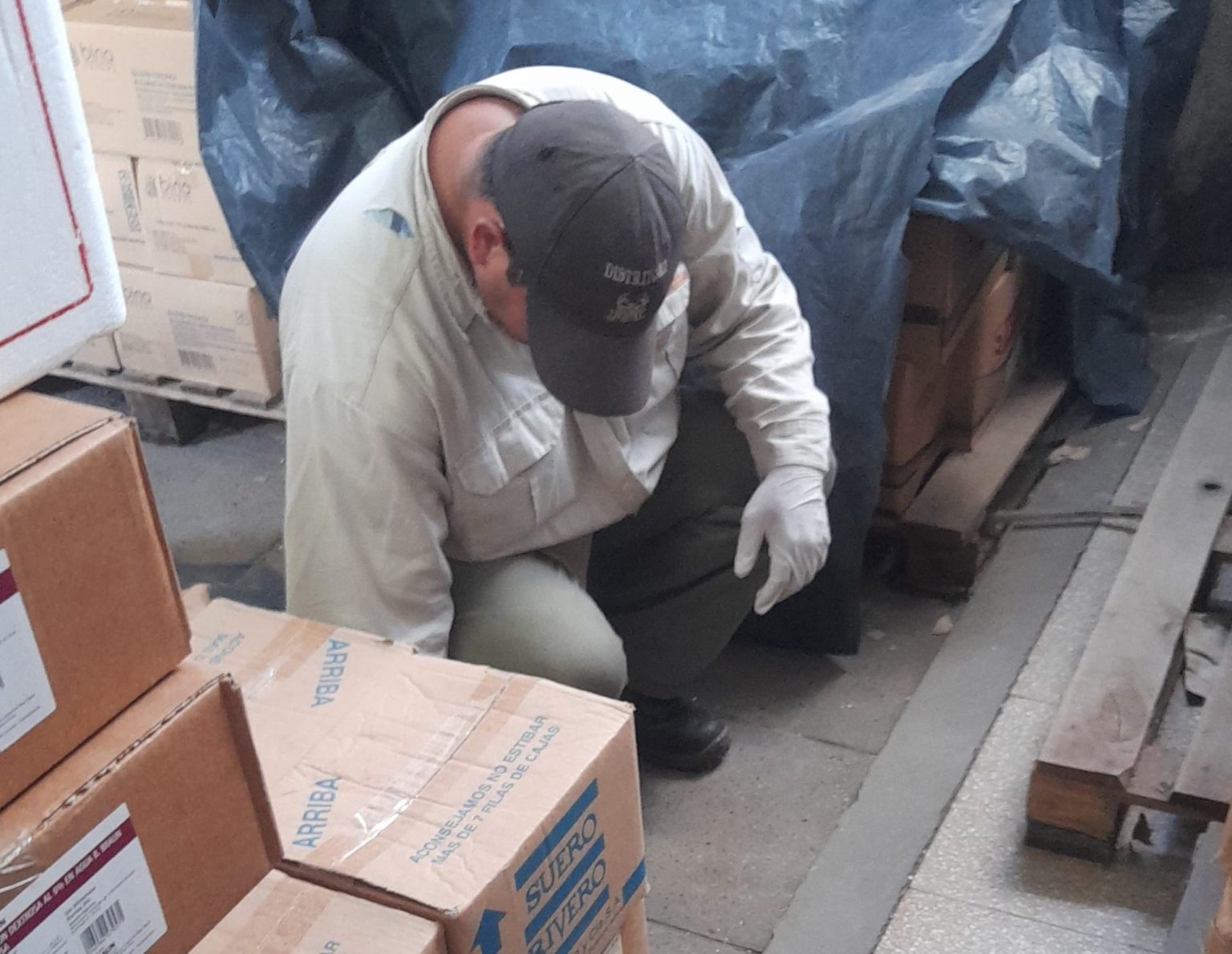 Fortalecen acciones de saneamiento ambiental y desratización en hospitales de toda la provincia