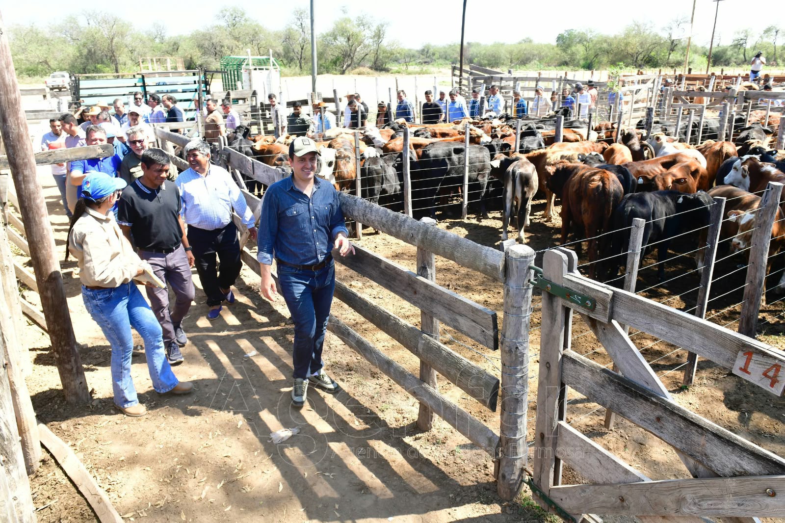 Fortín Soledad vivió una exitosa jornada de la Feria Ganadera Paippera